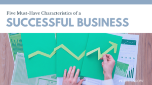 Five Must Have Characteristics Of A Successful Business Peter Lagow